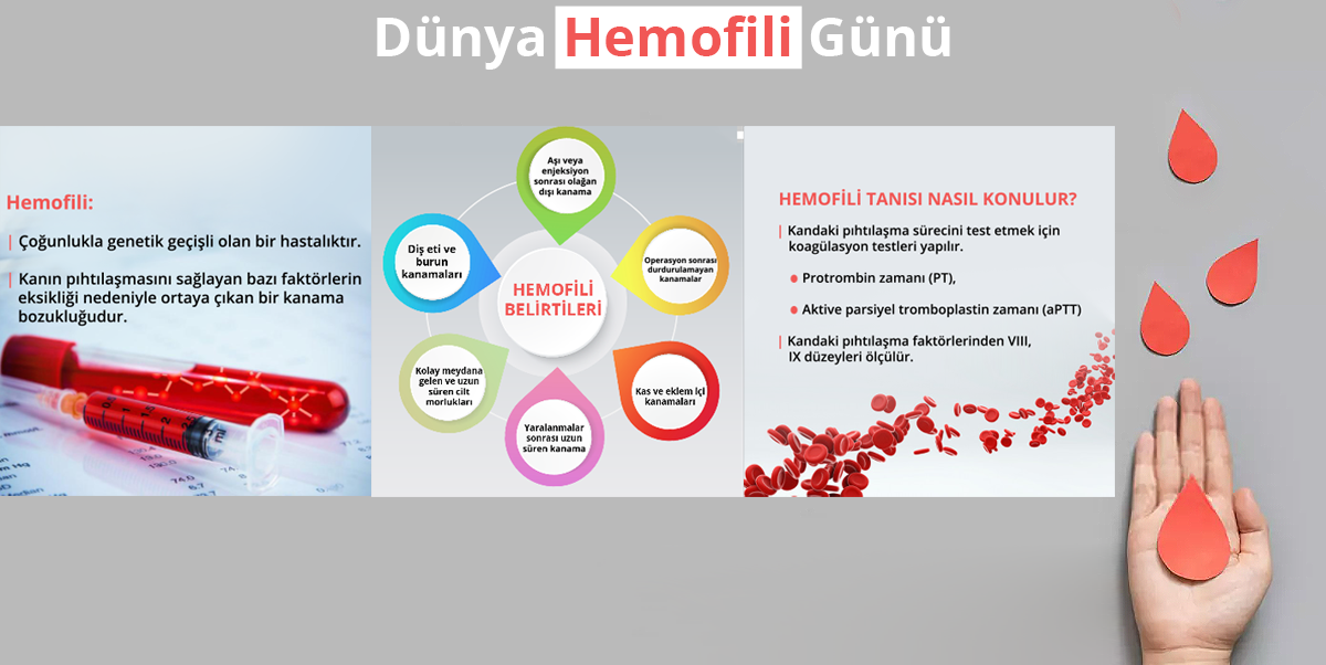 Biruni-Laboratuvarı-17-Nisan-Dunya-Hemofili-Gunu-Website-Haber-Formatı.png